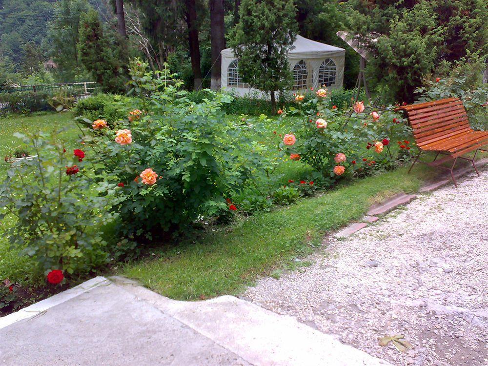 Camelia Hotel