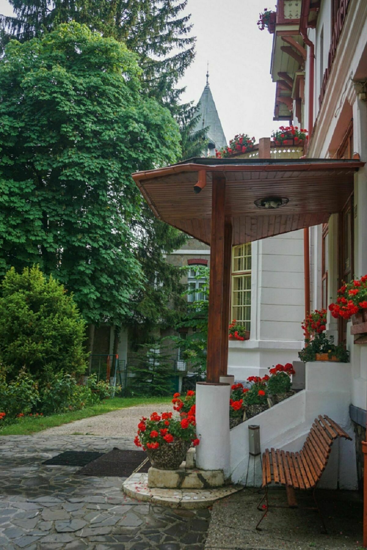 Camelia Hotel